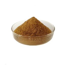 Radix Rhapontici Extract Radix Rhapontici Extract
